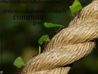 effective global collaborators are…

                                                  able to collaborate to reach
                                                      common
                                                               goals
http://www.flickr.com/photos/wwarby/1584818205/
 
