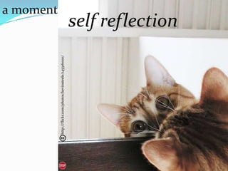 http://flickr.com/photos/kevinsteele/145316000/
                                                             a moment for
                                                  self reflection
 