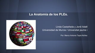 La Anatomía de los PLEs. 
Linda Castañeda y Jordi Adell 
Universidad de Murcia / Universitat jaume i 
Por: Marco Antonio Tapia Núñez 
 
