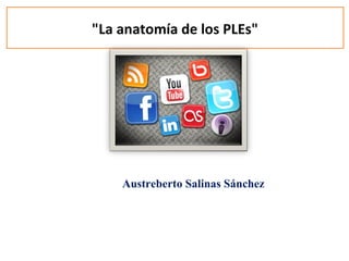 "La anatomía de los PLEs"
Austreberto Salinas Sánchez
 