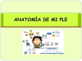 ANATOMÍA DE MI PLE
 