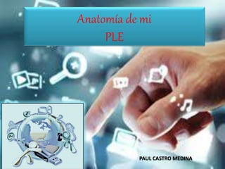 Anatomía de mi
PLE
PAUL CASTRO MEDINA
 