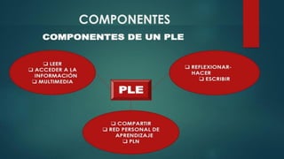 COMPONENTES
 