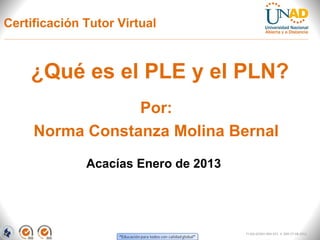 Certificación Tutor Virtual



    ¿Qué es el PLE y el PLN?
                 Por:
     Norma Constanza Molina Bernal
              Acacías Enero de 2013




                                      FI-GQ-GCMU-004-015 V. 000-27-08-2011
 