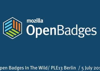 Open Badges In The Wild/ PLE13 Berlin / 5 July 2013
 