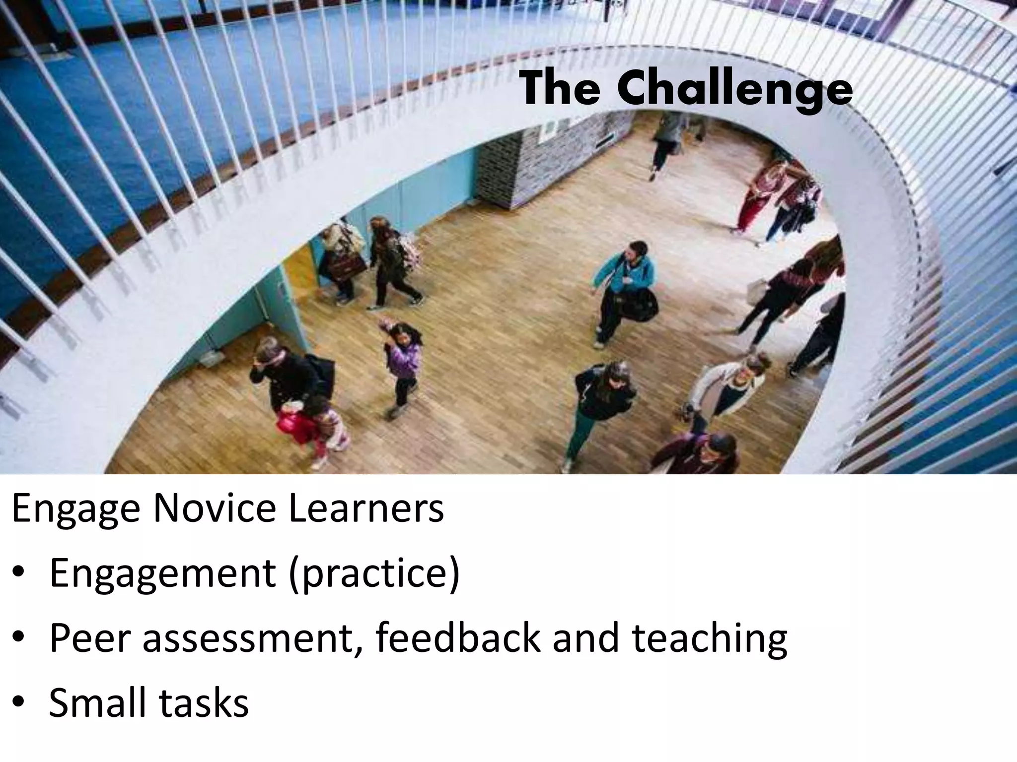 The Challenge
Engage Novice Learners
• Engagement (practice)
• Peer assessment, feedback and teaching
• Small tasks