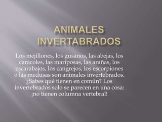 Los mejillones, los gusanos, las abejas, los
caracoles, las mariposas, las arañas, los
escarabajos, los cangrejos, los escorpiones
o las medusas son animales invertebrados.
¿Sabes qué tienen en común? Los
invertebrados solo se parecen en una cosa:
¡no tienen columna vertebral!
 