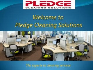 The experts in cleaning services
 