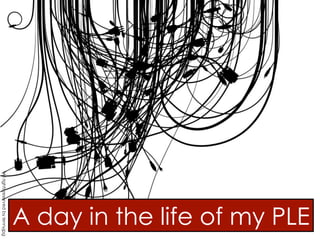 A day in the life of my PLE
All rights reserved by lennyjpg