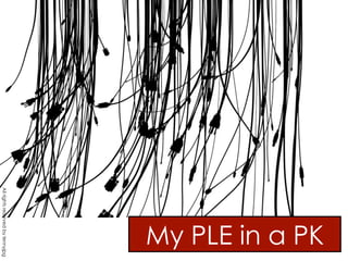 My PLE in a PK
All rights reserved by lennyjpg