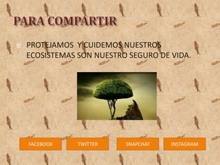  PROTEJAMOS Y CUIDEMOS NUESTROS
ECOSISTEMAS SON NUESTRO SEGURO DE VIDA.
FACEBOOK TWITTER SNAPCHAT INSTAGRAM
 