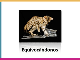 Fotogra.a	
  “Funny	
  Cat	
  Ups	
  Spilled	
  My	
  Water”	
  h;p://www.wallsave.com/wallpaper/2560x1600/funny-­‐cat-­‐ups-­‐spilled-­‐my-­‐water-­‐2218852.html




                 Equivocándonos
 