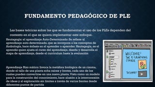FUNDAMENTO PEDAGÓGICO DE PLE
Las bases teóricas sobre las que se fundamentan el uso de los PLEs dependen del
contexto en el que se quiera implementar este enfoque.
Heutagogía: el aprendizaje Auto-Determinado: Se refiere al
aprendizaje auto-determinado, que se incorpora a los conceptos de
Andrología, hace énfasis en el aprender a aprender. Heutagogía, es el
aprendiz quien ajusta el curso del aprendizaje, diseña y desarrolla el
mapa de aprendizaje, desde el currículum hasta la evaluación
Aprendizaje Rizo mático: Invoca la metáfora biológica de un rizoma,
donde el tallo de una planta echa raíces y brotes, cada uno de los
cuales pueden convertirse en una nueva planta.Visto como un modelo
para la construcción del conocimiento, hace alusión a la interconexión
de ideas y al exploración sin límites a través de varios frentes desde
diferentes puntos de partida
 