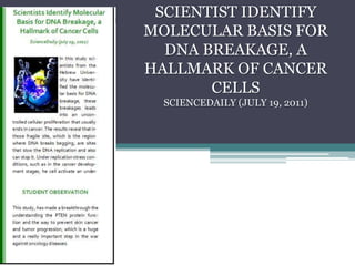 SCIENTIST IDENTIFY MOLECULAR BASIS FOR DNA BREAKAGE, A HALLMARK OF CANCER CELLSSCIENCEDAILY (JULY 19, 2011)