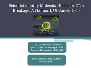 Scientistidentify Molecular Basisfor DNA Breakage, A Hallmark Of CancerCellsThe DNA encodes the entire genetic information required for building the proteins of the cell.Under stress condition, DNA usually breaks.