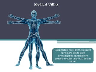 MedicalUtility.Bothstudiescouldletthescientisthave more tooltokeepinvestingationaround more genetictroublesthatcouldend in cancer