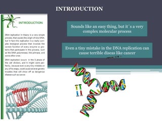 INTRODUCTIONSoundslikeaneasything, butit´s a verycomplex molecular processEven a tinymistake in the DNA replication can cause terrible diseaslikecancer