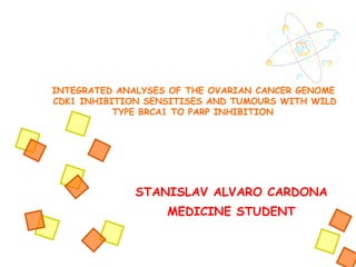 STANISLAV ALVARO CARDONA MEDICINE STUDENT INTEGRATED ANALYSES OF THE OVARIAN CANCER GENOME   CDK1 INHIBITION SENSITISES AND TUMOURS WITH WILD TYPE BRCA1 TO PARP INHIBITION    