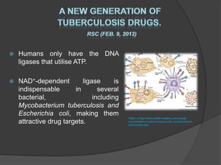    Humans only have the DNA
    ligases that utilise ATP.

   NAD+-dependent         ligase      is
    indispensable       in       several
    bacterial,                 including
    Mycobacterium tuberculosis and
    Escherichia coli, making them
                                            Taken of http://www.health-healths.com/usually-
    attractive drug targets.                mycobacterium-tuberculosis/usually-mycobacterium-
                                            tuberculosis.php
 