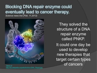 Blocking DNA repair enzyme could
eventually lead to cancer therapy.
Science news line (Feb. 11,2012)



                                                        They solved the
                                                       structure of a DNA
                                                         repair enzyme
                                                          called PNKP.
                                                      It could one day be
                                                        used to develop
                                                       new therapies that
                                                      target certain types
Taken of                                                   of cancers
http://es.wikipedia.org/wiki/Archivo:DNA_Repair.jpg
 