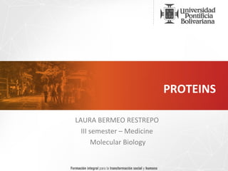 PROTEINS LAURA BERMEO RESTREPO  III semester – Medicine  Molecular Biology 