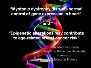 “Myotonic dystrophy disrupts normal
control of gene expression in heart”
and

“Epigenetic alterations may contribute
to age-related breast cancer risk”
Sofia Medina Escobar
Pontifical Bolivarian University
III semester
Molecular Biology

 