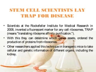 Molecular Biology, Daniela Alarcón. | PPT