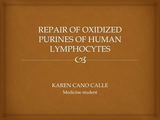 KAREN CANO CALLE
Medicine student
 