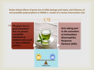 

Redox-linked effects of green tea on DNA damage and repair, and influence of
microsatellite polymorphism in HMOX-1: results of a human intervention trial
The green tea is a
good antioxidant
that can protect
susceptible
individuals at
oxidative stress such
as Type 2 diabetes
patients .
Acts taking part
in the activation
of Antioxidant
(Electrophile)
Response
Element (ARE).
 