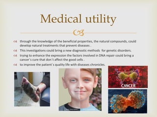 
 through the knowledge of the beneficial properties, the natural compounds, could
develop natural treatments that prevent diseases .
 This investigations could bring a new diagnostic methods for genetic disorders.
 trying to enhance the expression the factors involved in DNA repair could bring a
cancer`s cure that don´t affect the good cells .
 to improve the patient´s quality life with diseases chronicles.
Medical utility
 