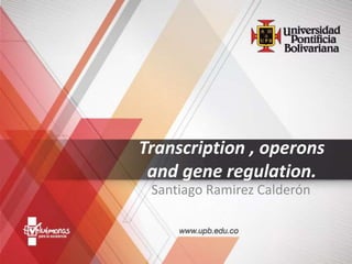Transcription , operons
and gene regulation.
Santiago Ramirez Calderón
 