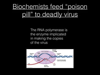 Biochemists feed “poison
pill” to deadly virus
The RNA polymerase is
the enzyme implicated
in making the copies
of the virus
 
