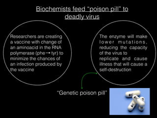 Biochemists feed “poison pill” to
deadly virus
Researchers are creating
a vaccine with change of
an aminoacid in the RNA
polymerase (phe tyr) to
minimize the chances of
an infection produced by
the vaccine
The enzyme will make
l o w e r m u t a t i o n s ,
reducing the capacity
of the virus to
replicate and cause
illness that will cause a
self-destruction
“Genetic poison pill”
 