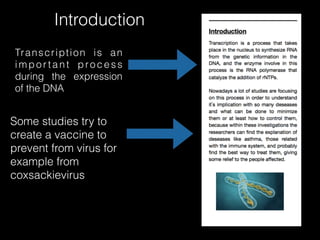 Introduction
Transcription is an
impor tant process
during the expression
of the DNA
Some studies try to
create a vaccine to
prevent from virus for
example from
coxsackievirus
 