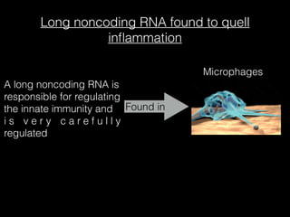 Long noncoding RNA found to quell
inﬂammation
A long noncoding RNA is
responsible for regulating
the innate immunity and
i s v e r y c a r e f u l l y
regulated
Found in
Microphages
 