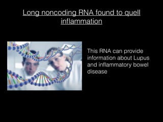 Long noncoding RNA found to quell
inﬂammation
This RNA can provide
information about Lupus
and inﬂammatory bowel
disease
 