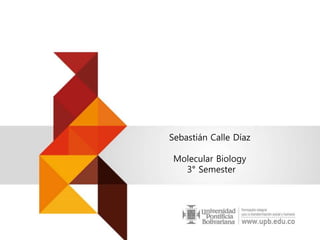 Sebastián Calle Díaz
Molecular Biology
3° Semester
 