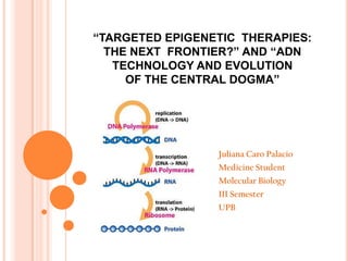 “TARGETED EPIGENETIC THERAPIES:
THE NEXT FRONTIER?” AND “ADN
TECHNOLOGY AND EVOLUTION
OF THE CENTRAL DOGMA”

Juliana Caro Palacio
Medicine Student

Molecular Biology
III Semester
UPB

 
