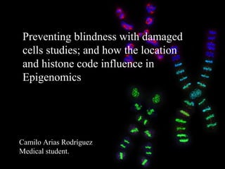 Preventing blindness with damaged
 cells studies; and how the location
 and histone code influence in
 Epigenomics.




Camilo Arias Rodríguez
Medical student.
 