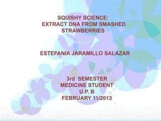 SQUISHY SCIENCE:
EXTRACT DNA FROM SMASHED
     STRAWBERRIES



ESTEFANIA JARAMILLO SALAZAR



       3rd SEMESTER
      MEDICINE STUDENT
            U.P. B
      FEBRUARY 11/2013
 