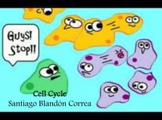Cell Cycle
Santiago Blandón Correa
 