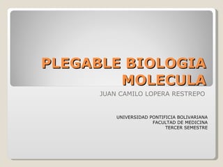 PLEGABLE BIOLOGIA MOLECULA JUAN CAMILO LOPERA RESTREPO UNIVERSIDAD PONTIFICIA BOLIVARIANA FACULTAD DE MEDICINA TERCER SEMESTRE 
