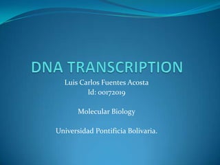 DNA TRANSCRIPTION Luis Carlos Fuentes Acosta Id: 00172019 Molecular Biology Universidad Pontificia Bolivaria. 