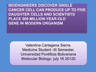 BIOENGINEERS DISCOVER SINGLE
CANCER CELL CAN PRODUCE UP TO FIVE
DAUGHTER CELLS AND SCIENTISTS
PLACE 500-MILLION-YEAR-OLD
GENE IN MODERN ORGANISM




       Valentina Cartagena Sierra.
      Medicine Student -III Semester.
     Universidad Pontificia Bolivariana
     Molecular Biology- july 16 20120
 