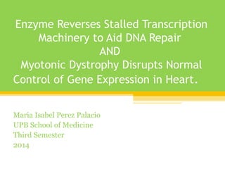 Enzyme Reverses Stalled Transcription
Machinery to Aid DNA Repair
AND
Myotonic Dystrophy Disrupts Normal
Control of Gene Expression in Heart.

 
Maria Isabel Perez Palacio
UPB School of Medicine
Third Semester
2014

 
