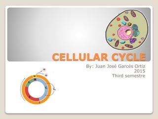 CELLULAR CYCLE
By: Juan José Garcés Ortiz
2015
Third semestre
 