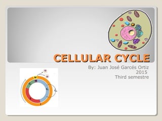 CELLULAR CYCLECELLULAR CYCLE
By: Juan José Garcés Ortiz
2015
Third semestre
 
