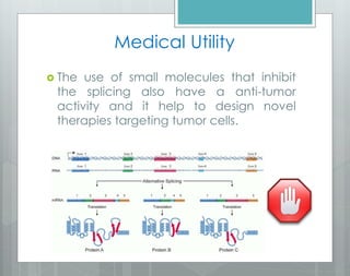  The use of small molecules that inhibit
the splicing also have a anti-tumor
activity and it help to design novel
therapies targeting tumor cells.
Medical Utility
 