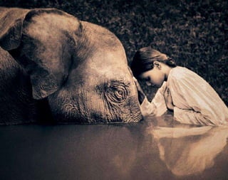 Splicing / Molecular Biology