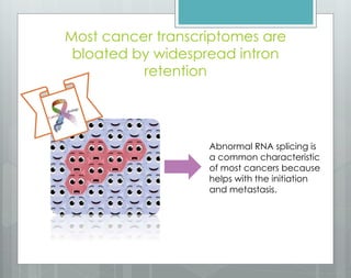 Most cancer transcriptomes are
bloated by widespread intron
retention
Abnormal RNA splicing is
a common characteristic
of most cancers because
helps with the initiation
and metastasis.
 